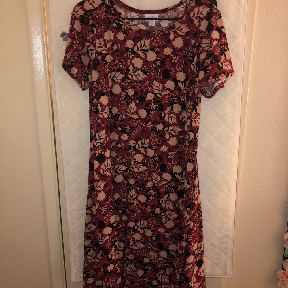LuLaRoe medium Carly